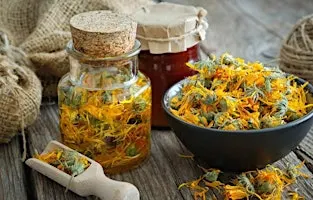 Herbal First Aid Kit - Kids Workshop