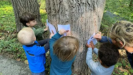Jenkins Juniors - 10 AM (10/6 – 10/27)