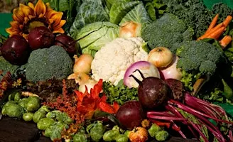 Vegetable Gardening with a Master Gardener (Garden Tour/Class)