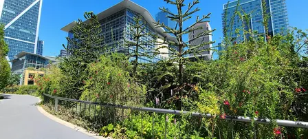 Salesforce Park Garden Walk