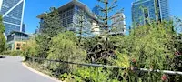 Salesforce Park Garden Walk