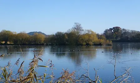 Blashford Lakes Family Den building, Campfire & Crafts