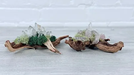 Crystal and Moss Garden