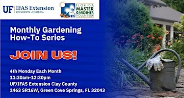 Monthly Gardening How-To Series- Rethinking Turf in Florida Landscapes