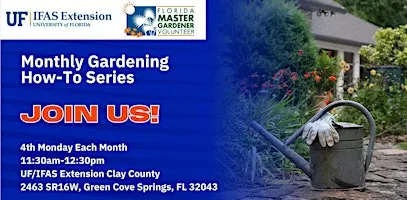 Monthly Gardening How-To Series- Designing with Florida Natives