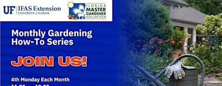 Monthly Gardening How-To Series- Rethinking Turf in Florida Landscapes