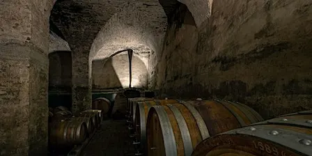 VISITA GUIDATA ALLA CANTINA DELL'ABBAZIA DI PRAGLIA CON DEGUSTAZIONE VINI