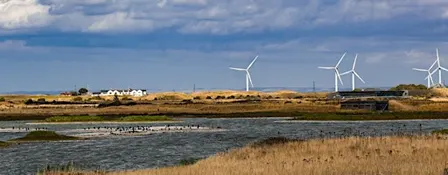 Forest School Networking Day, Rye Harbour (420337035)