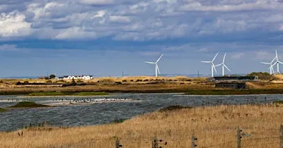 Forest School Networking Day, Rye Harbour (420337035)