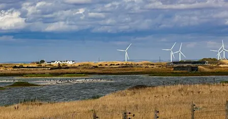 Forest School Networking Day, Rye Harbour (420337035)