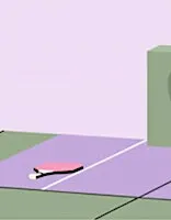 Pickleball Ladies: Social Play - All Levels!