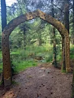 Survival and Bushcraft course - Dorlindon Forest