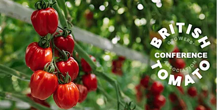 2026 British Tomato Conference