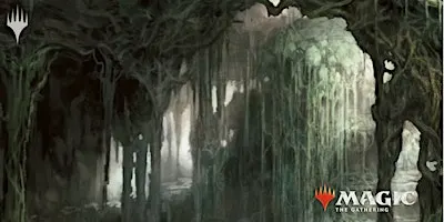 Magic: The Gathering - Friday Night Magic Commander Night