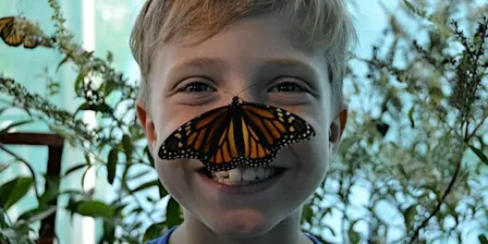 2026 Kiwanis Butterfly Festival in Keller (Previously Southlake)
