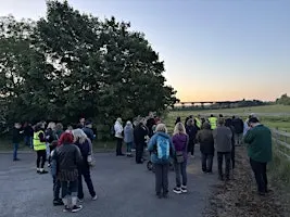 Bat Hunt at Bennerley Viaduct (with Pie & Peas)