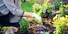 Green Patch Garden Chat with Kim