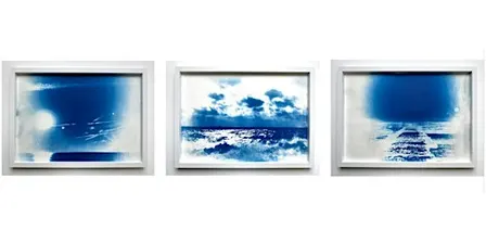 Introduction to Cyanotype with Nina Garstang