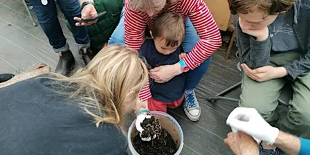 Workshop: Composting: steps to success