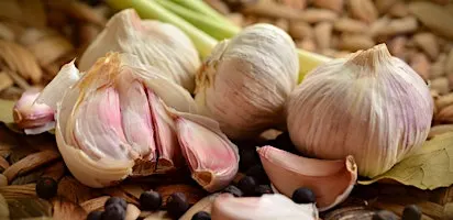 Growing Great Gourmet Garlic!