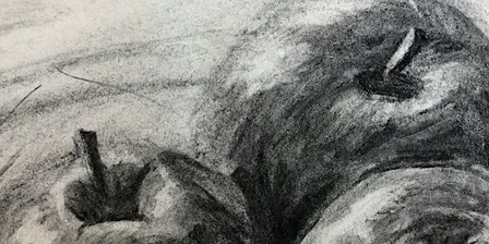 Autumn Term 2026 - Introduction to Drawing Short Course