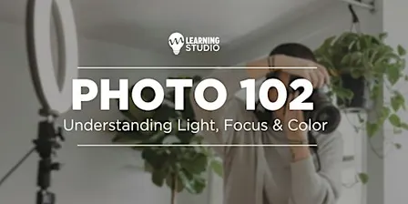 Photo 102 | Understanding Light, Focus & Color