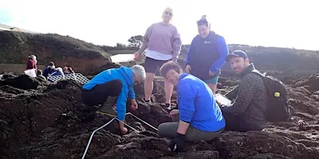 Shoresearch Week: Prisk Cove
