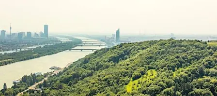 Freiheit beginnt im ersten Atemzug – & entscheidet, ob Demokratie überlebt