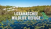 Birding Arthur R. Marshall Loxahatchee NWR with Kar DeGeiso
