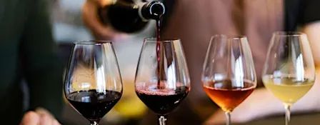 An Introduction to Wine Tasting: Autumn Edition with Ellis Wines