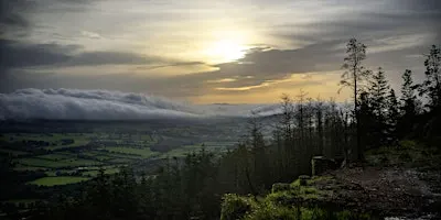 Dawn Chorus - Sunrise Walk to Seefin