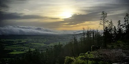 Dawn Chorus - Sunrise Walk to Seefin