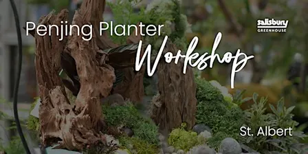 DIY Penjing Planter | Workshop | St. Albert