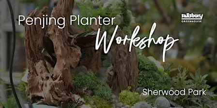 DIY Penjing Planter | Workshop | Sherwood Park