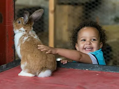 Foxes Bridge Farm Day Nursery & Pre-school September Enrolment Week