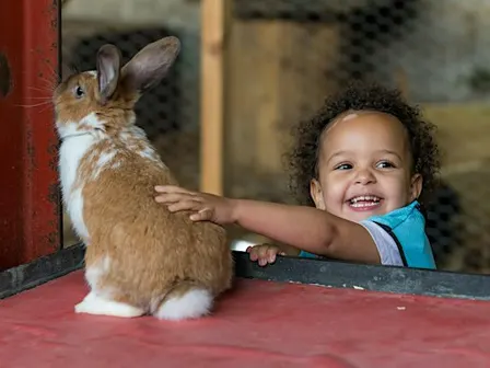 Foxes Bridge Farm Day Nursery & Pre-school September Enrolment Week