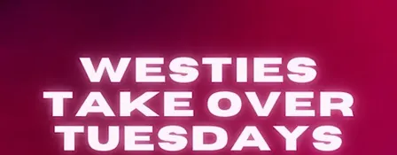 Westies Take Over Tuesdays