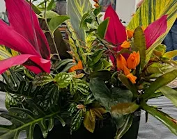 The Backyard Florist - Fall Edition