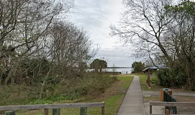 Reddie Point Preserve with Sue Killeen