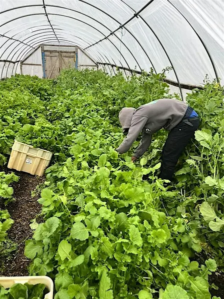 Onboarding for Harvest Volunteer Hours