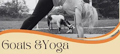 Goats & Yoga