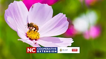Beginning Beekeeping Course - Honey Bee Parasites, Diseases - Week 5