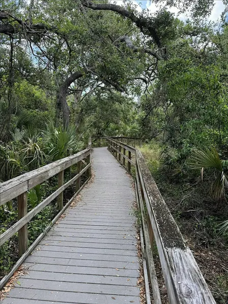 EcoWalk: Unique Preserves - Manasota Scrub Preserve