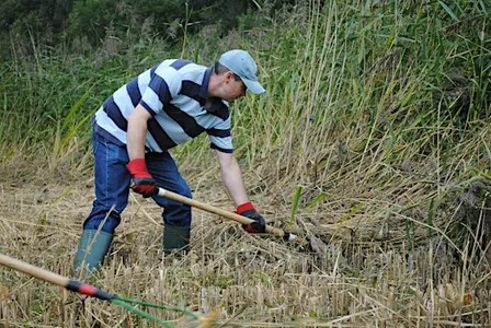 NWT Sweet Briar Marshes: Practical conservation task (Adult event 16 Oct)