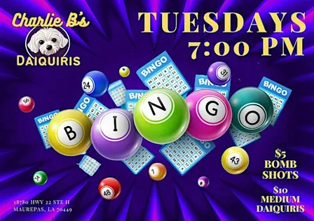 Bingo Tuesdays at Charlie B's Daiquiris