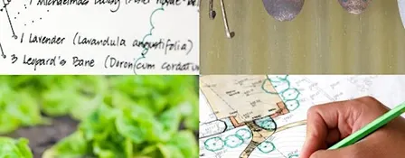 Market Garden design : site design for food growing inc. agroforestry