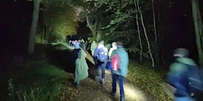 A Forest Walk After Dark - Epping Forest Guided Walk