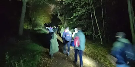 A Forest Walk After Dark - Epping Forest Guided Walk