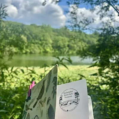 Writing in Nature