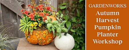 Autumn Harvest Pumpkin Planter Workshop at GARDENWORKS Burnaby-Lougheed